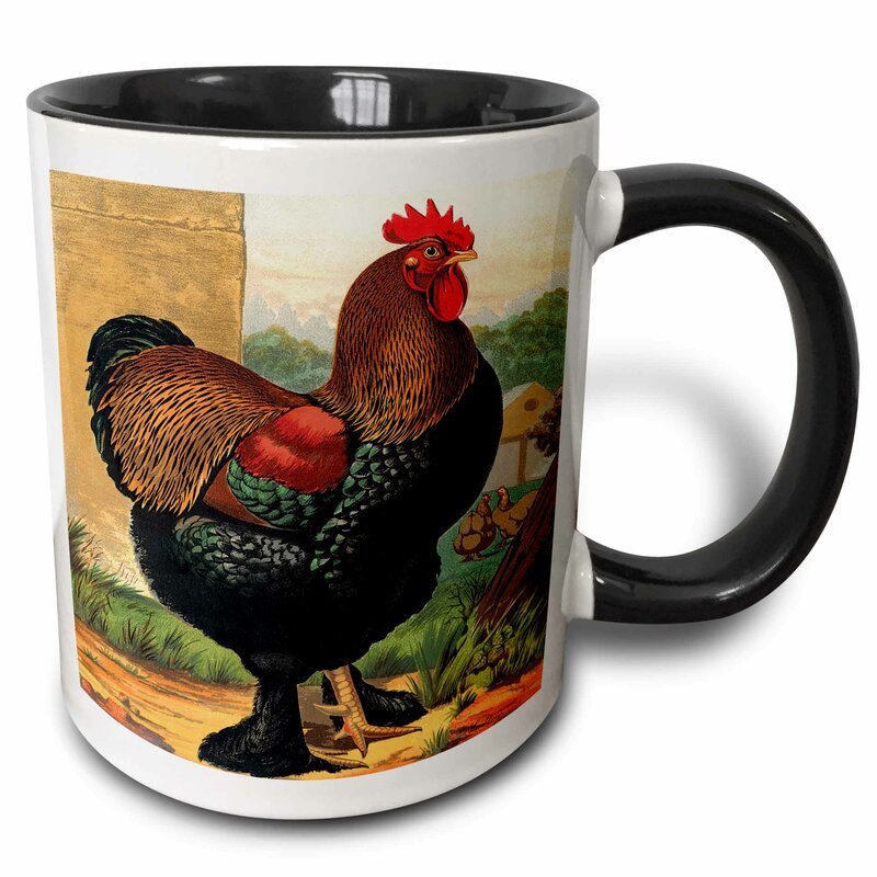 3dRose Partridge Cochin Rooster Coffee Mug Wayfair